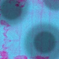 Violet - In Vein (Explicit)