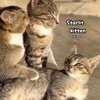 Chris Leo - Starlit Kitten