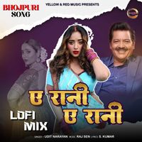 Udit Narayan - E Rani E Rani (Lofi Mix)