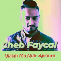 Cheb Faycal - Walah ma ndir amoure