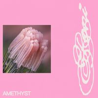RONI - amethyst