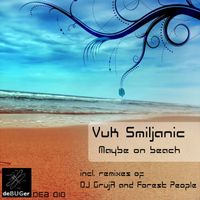 Vuk Smiljanic - Maybe on Beach