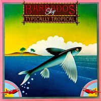Typically Tropical - Barbados Sky