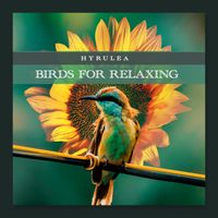 Hyrulea - Birds for Relaxing
