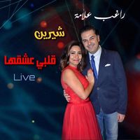 Ragheb Alama - Albi Eshe2ha (Live)