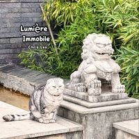Chris Leo - Lumière Immobile