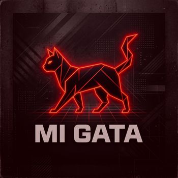 DJ D - Mi Gata
