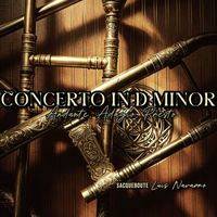 Luis Navarro - Concerto in D minor - Andante