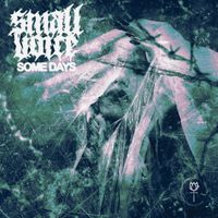 Small Voice, What We Seek - Some Days