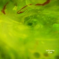 Infinite Limb - Mitosis Bloom