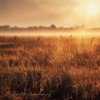 duyn peace - A Gentle Awakening