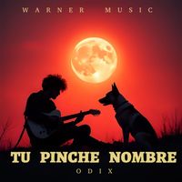 Odix - tu pinche nombre