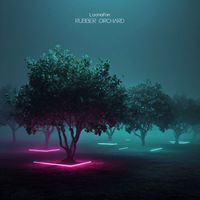 Loonafon - Rubber Orchard