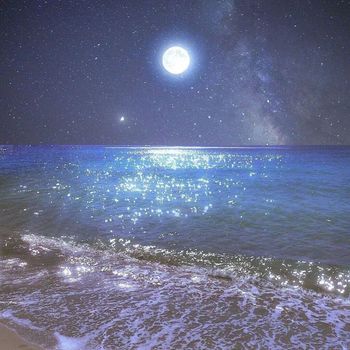 kou - Coral