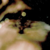Faz2.51 - F*** AI
