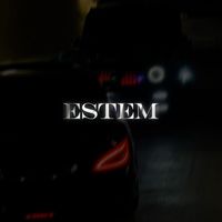 Ambassador - Estem