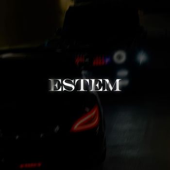 Ambassador - Estem