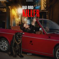 R King - Bad Bird Killer