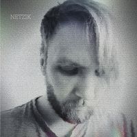 Netzik - Miss You