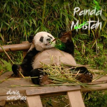 Dave Sanchès - Panda Mastah