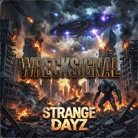 WreckSignal - Strange Dayz