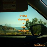 leroy brown - living through a car window