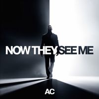 AC - Now They See Me