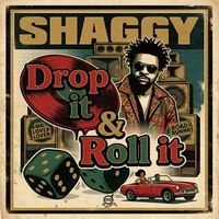 Shaggy - Drop it & Roll it