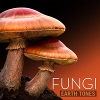 Bleeding Fingers - Earth Tones: Fungi