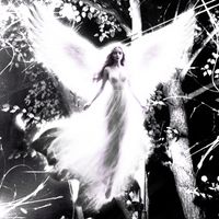 Impuls - Wings of Light