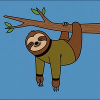 Sleepy Sloth - you have to understand how things are up here