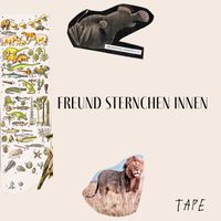 Tape - Freund Sternchen Innen