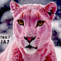 TONY JAY - The Pink Madison - BA BA HOU !