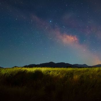 Second Still - Faint Horizon Holding