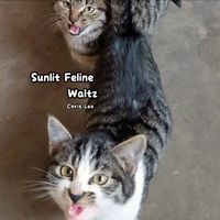 Chris Leo - Sunlit Feline Waltz
