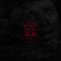 Aeger Anima - Dulce Et Decorum Est
