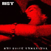 Bist - Not Quite Conscious (Explicit)