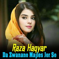 Raza Haqyar - Da Zwanano Majles Jor So
