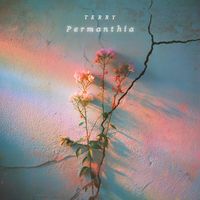 Terry - Permanthia