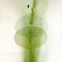 Luomo - kasvetaan