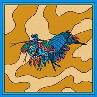 Gecko - Peacock Mantis Shrimp