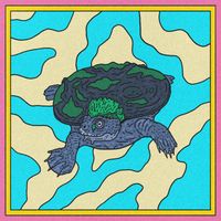 Gecko - Mary River Turtle
