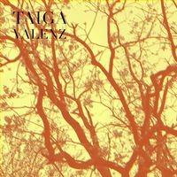 Taiga - Valenz