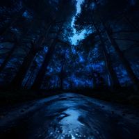 Ronan - Bioluminescent Canopy