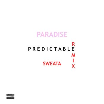 Paradise - Predictable (Remix) (Explicit)