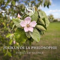Thrill of Silence - Haïkus de la philosophie