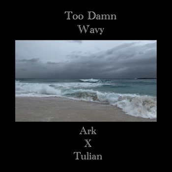 Ark - Too Damn Wavy (Explicit)