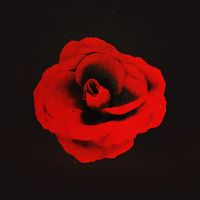 Pesadillas - La Cita