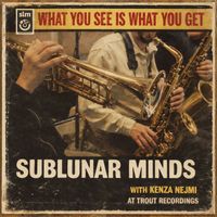 Sublunar Minds feat. Kenza Nejmi - What You See Is What You Get