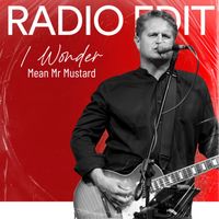 Mean Mr Mustard - I Wonder (Radio Edit)